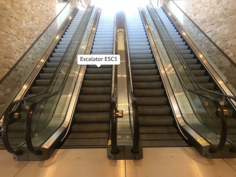 Escalator ESC5