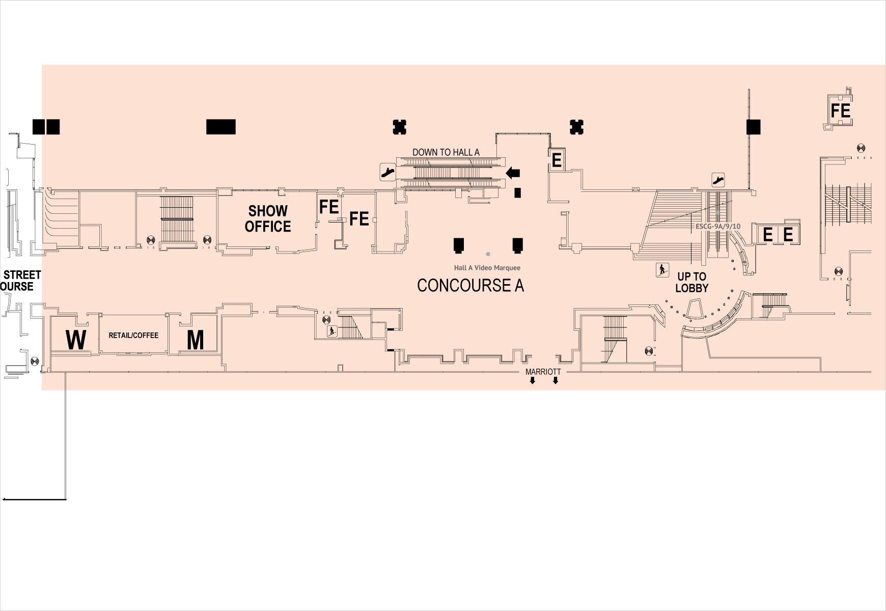Section 5